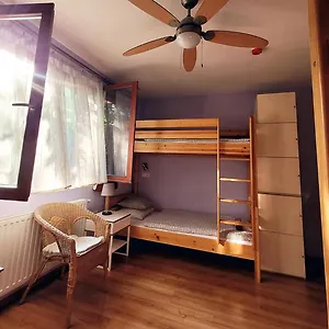  Auberge de jeunesse Shantee House